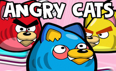 Read more about the article Angry Cats